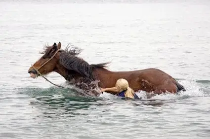 A woman is swimming with a horse in the ocean, demonstrating her ability to switch horses in the middle of the stream.