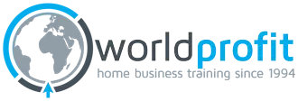 A logo with a globe icon on the left and the text "World Profit" on the right, featuring a blue and grey color scheme that offers everything you need to know.